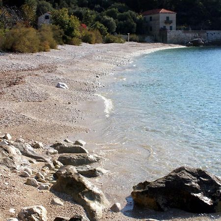 Apartments With A Parking Space Plat, Dubrovnik - 4776 Mlini Zewnętrze zdjęcie