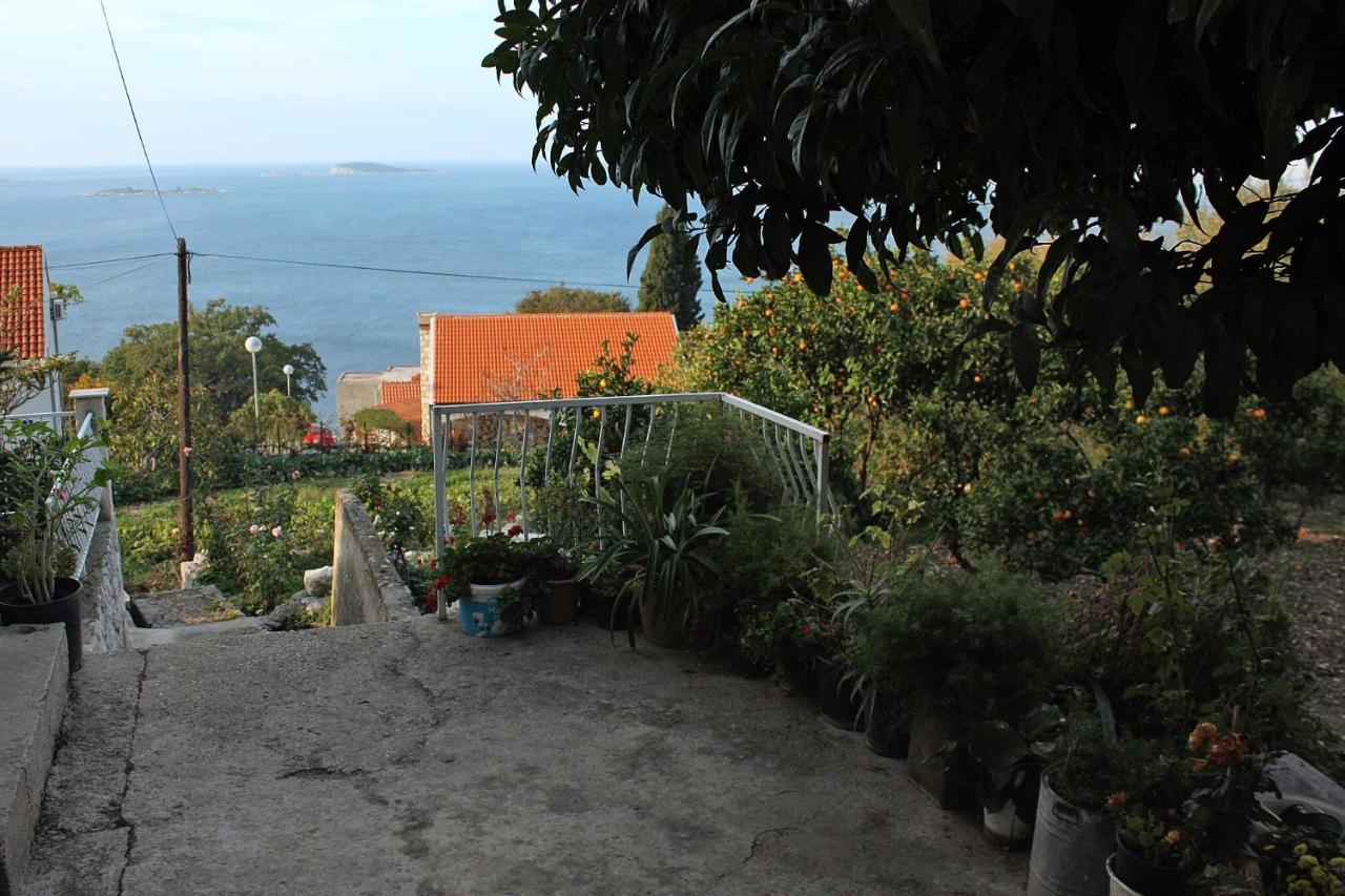 Apartments With A Parking Space Plat, Dubrovnik - 4776 Mlini Zewnętrze zdjęcie